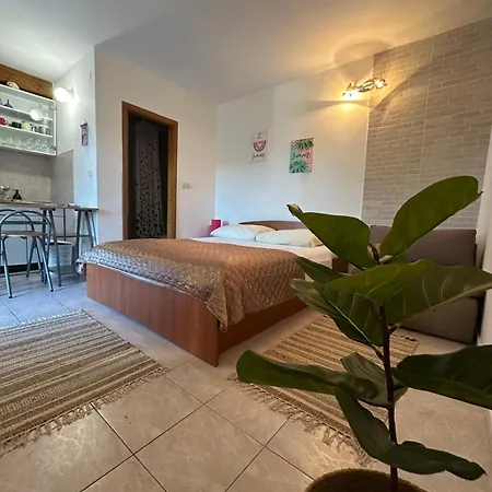 Daire In With Terrace, Air Conditioning, Wifi, Washing Machine 4199-3 Trpanj