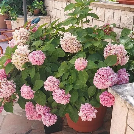 In With Terrace, Air Conditioning, Wifi, Washing Machine 4199-3 Daire Trpanj