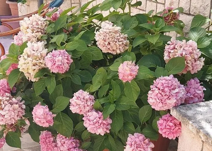 In With Terrace, Air Conditioning, Wifi, Washing Machine 4199-3 Apartman Trpanj